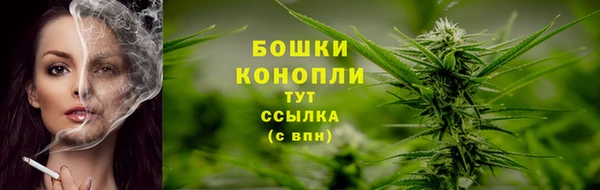 стаф Валдай