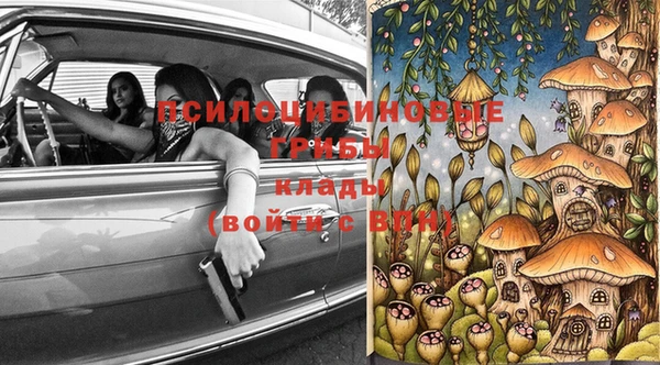 амф Арсеньев