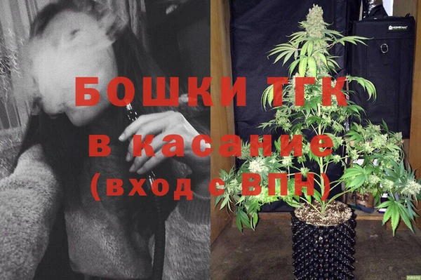 амф Арсеньев