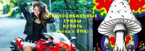 амф Арсеньев